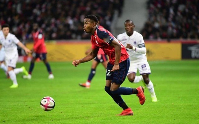 从而影响着 从而影响着